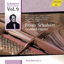 Gerhard Oppitz: Schubert: Piano Works, Vol. 9