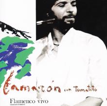 Camarón De La Isla: Flamenco Vivo