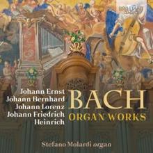 Stefano Molardi: Bach Family: Organ Works