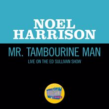 Noel Harrison: Mr. Tambourine Man (Live On The Ed Sullivan Show, November 13, 1966) (Mr. Tambourine ManLive On The Ed Sullivan Show, November 13, 1966)