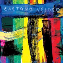 Caetano Veloso: Livro