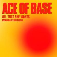 Ace of Base: All That She Wants (Moombahteam Remix)