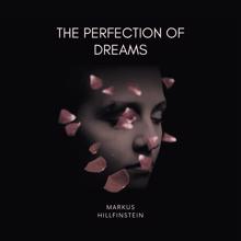 Markus Hillfinstein: The Perfection of Dreams