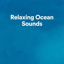 Ocean Sounds: Relaxing Ocean Sounds