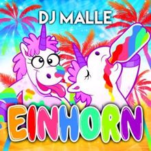 DJ Malle: Einhorn (Instrumental Version)