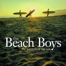 The Beach Boys: The Warmth Of The Sun