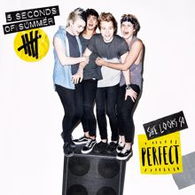 5 Seconds of Summer: She Looks So Perfect (Ash Demo Vocal)