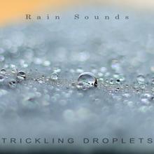 Rain Sounds: Trickling Droplets