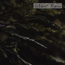 Rain Sounds: Silent Rain