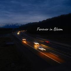 A3F: Forever in Bloom