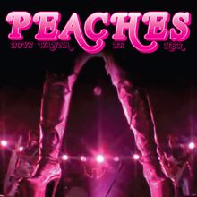 Peaches: Boys Wanna Be Her