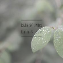 Rain Sounds: Rain Storm