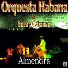 Orquesta Habana De Sosa Y Cataneo: Capullito De Alhelí