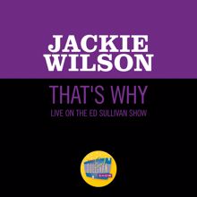 Jackie Wilson: That's Why (I Love You So) (Live On The Ed Sullivan Show, January 21, 1962) (That's Why (I Love You So)Live On The Ed Sullivan Show, January 21, 1962)