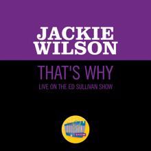 Jackie Wilson: That's Why (I Love You So) (Live On The Ed Sullivan Show, January 21, 1962) (That's Why (I Love You So)Live On The Ed Sullivan Show, January 21, 1962)