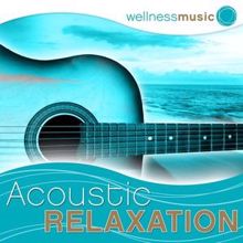 The Gym All-Stars: Wellness Music: Acoustic Relaxation