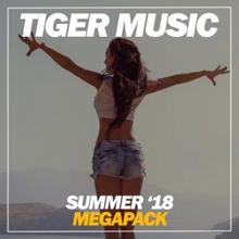 Various Artists: Summer Megapack '18