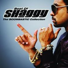 Shaggy: Don't Ask Her That (Album Version) (Don't Ask Her That)