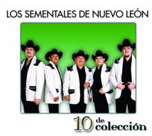 Los Sementales De Nuevo Leon: 10 De Colección