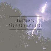 Rain Sounds: Night Rain Ambience