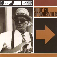 Sleepy John Estes: Goin' To Brownsville