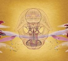 Devendra Banhart: What Will We Be (Standard)