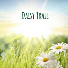 Rain Sounds: Daisy Trail