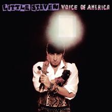 Little Steven: Voice Of America (Deluxe Edition)