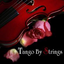 101 Strings Orchestra: Tango Pizzicato