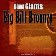 Big Bill Broonzy: Blues Giants: Big Bill Broonzy