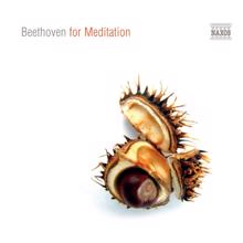 Various Artists: Beethoven for Meditation