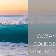 Ocean Sounds: Ocean Sounds Ambience