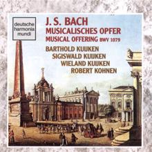 Sigiswald Kuijken: Bach: Musical Offering