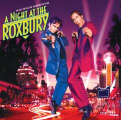 Various Artists: A Night At The Roxbury