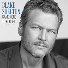 Blake Shelton: Came Here to Forget