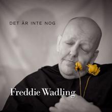 Freddie Wadling: Det är inte nog