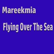 MAREEKMIA: Flying over the Sea (Original Mix)