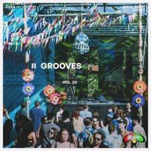 Various Artists: Grooves, Vol. 20