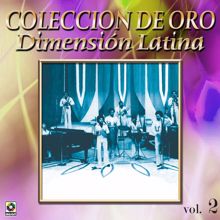 Dimension Latina: Colección De Oro: A Bailar La Salsa Con Dimensión Latina, Vol. 2