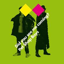 Pet Shop Boys: Did You See Me Coming?