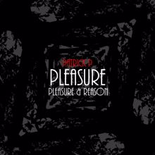 Patrick P.: Pleasure