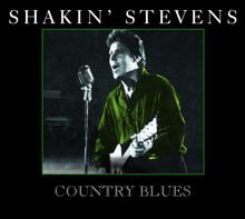 Shakin' Stevens: I'll Give You My Heart (Remix)