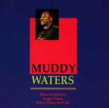 Muddy Waters: Muddy Waters