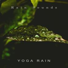 Rain Sounds: Yoga Rain