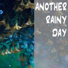 Rain Sounds: Another Rainy Day