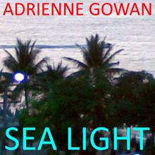 Adrienne Gowan: The White Foam of the Wave