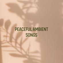 ZEN: Peaceful Ambient Songs