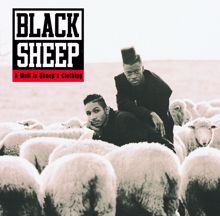 Black Sheep: A Wolf In Sheep's Clothing