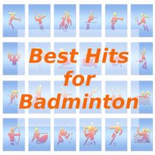 Tune Robbers: Best Hits for Badminton