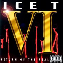 Ice T: Return Of The Real